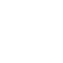 Icon Cyber Security