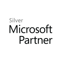 Microsoft Partner Logo